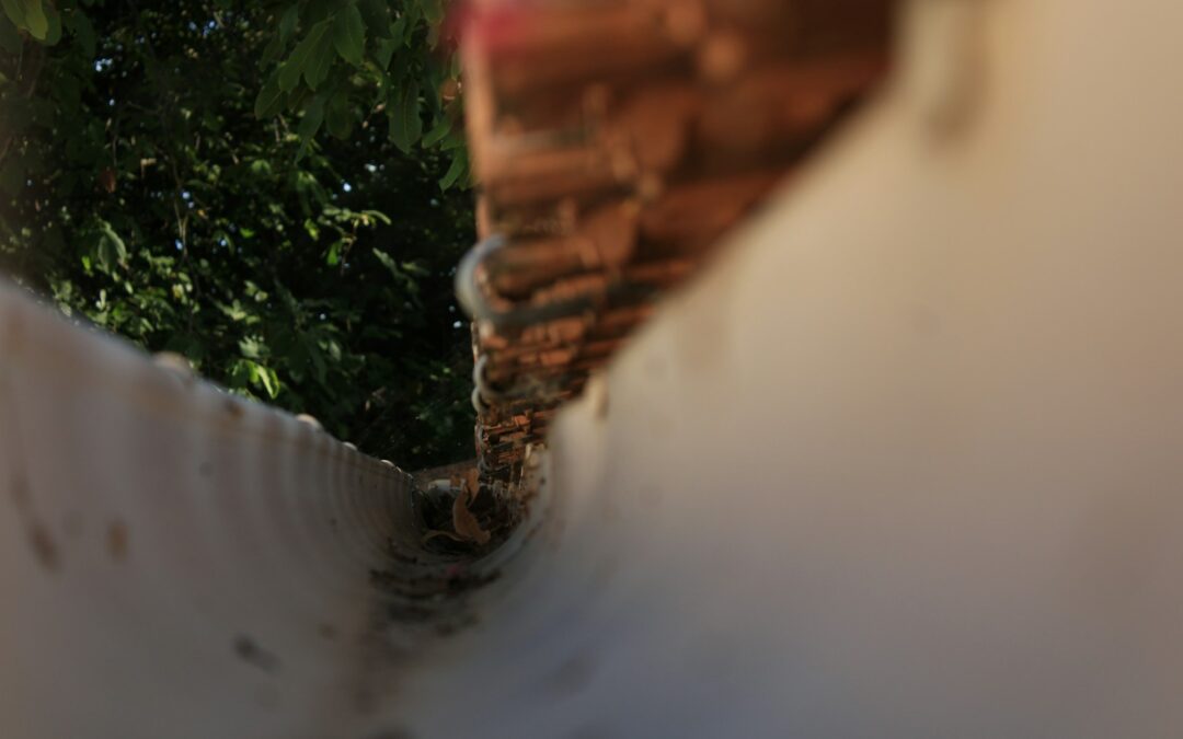 Seasonal Gutter Maintenance Tips to Avoid Winter Damages